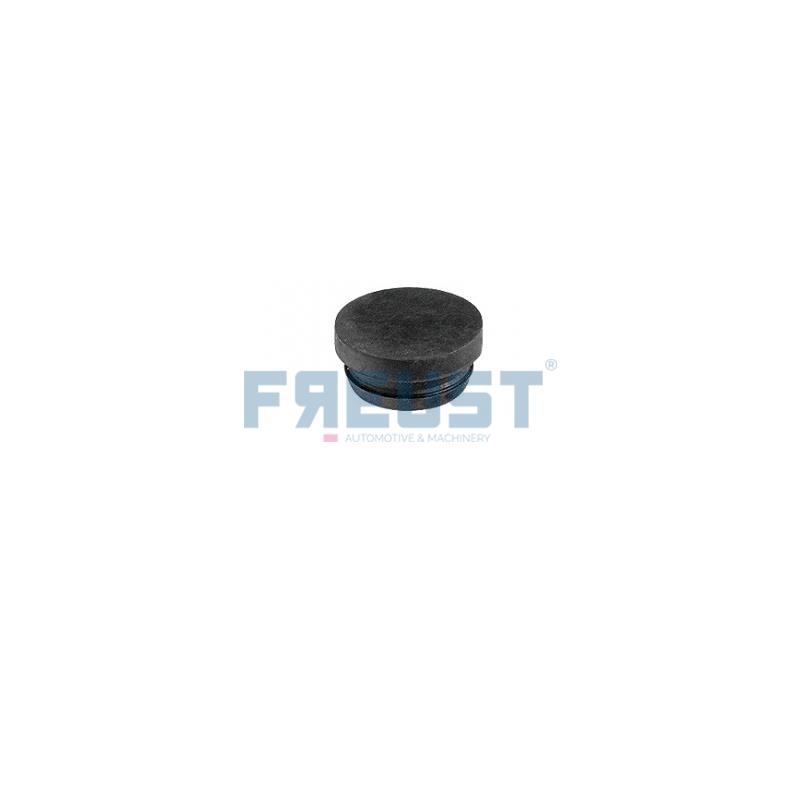 FR-925300